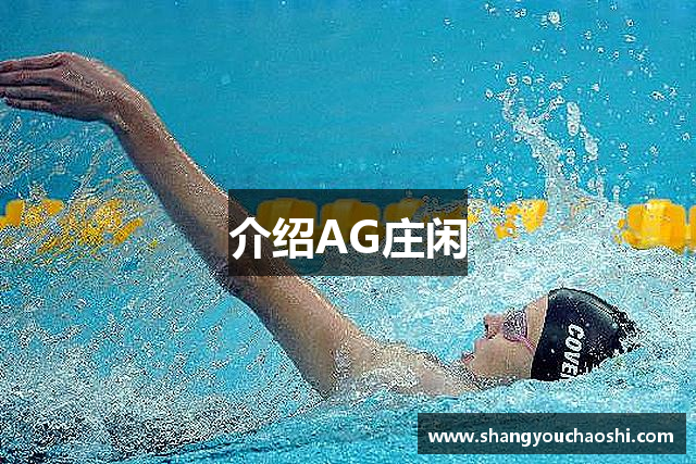 介绍AG庄闲